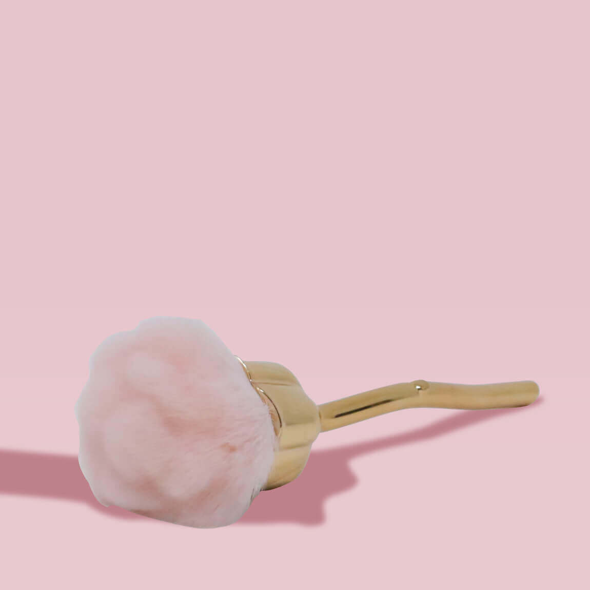 Dust Brush