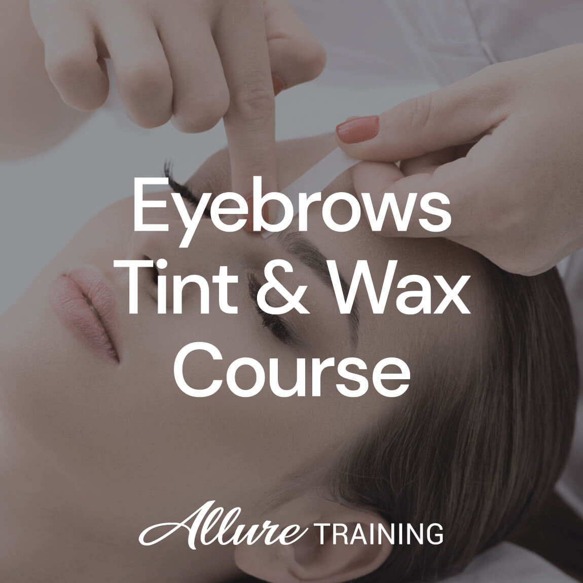 Eyebrows Tint and Wax Course