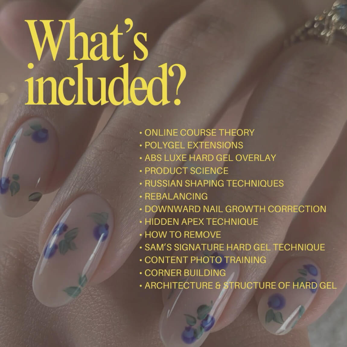Hard Gel Online Training Course