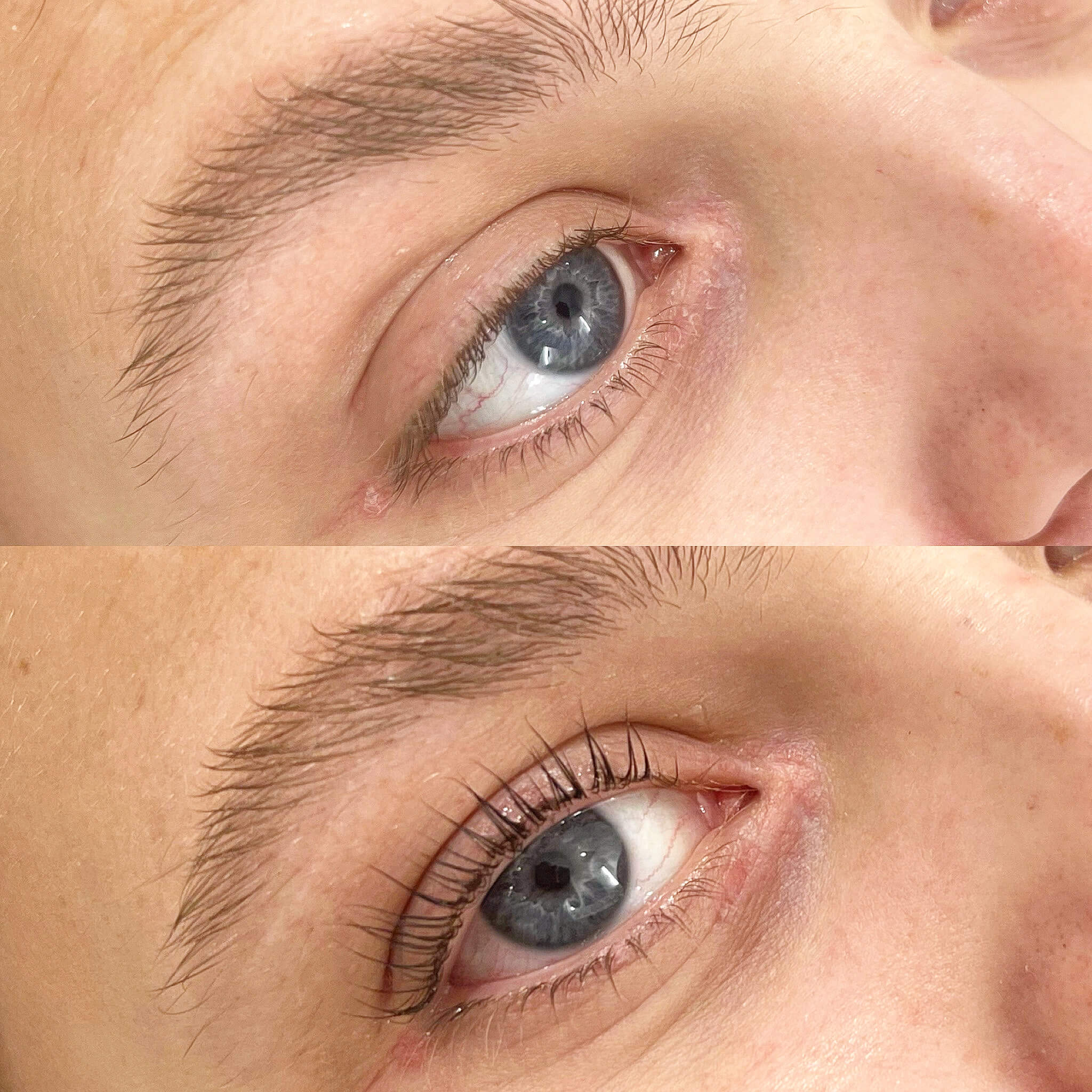 Lash Lift Course